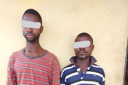 How two brothers kidnapped woman, 9-yr old son for ritual -Police