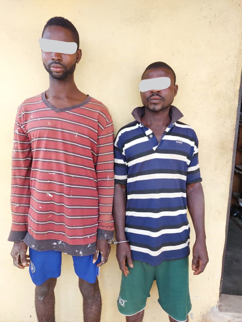 How two brothers kidnapped woman, 9-yr old son for ritual -Police