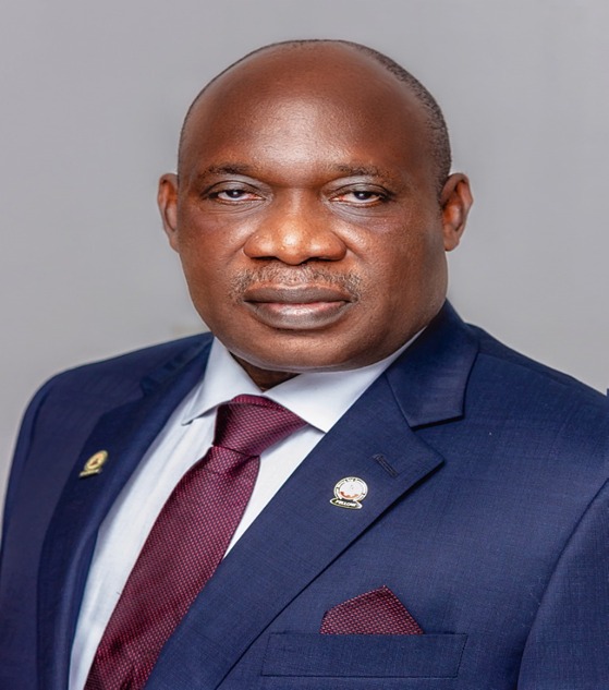 NMCO: Buhari appoints Obadiah Nkom for a second term