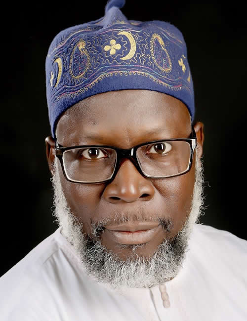 Why INEC should be headed by an engineer -NSE