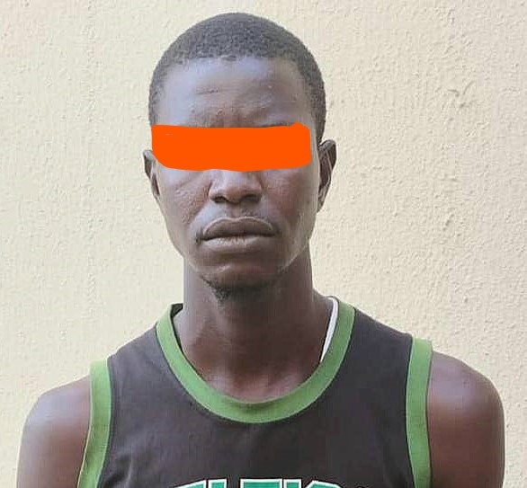 Drug trafficking: Ex-Boko Haram fighter, monarch, others arrested