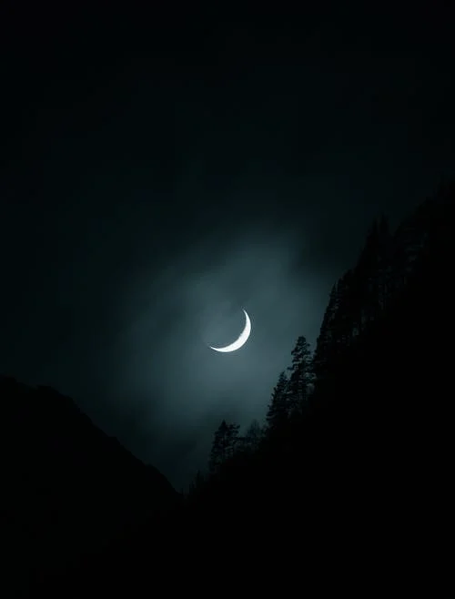 BREAKING: S'Arabia sights moon, to celebrate Eid-el-fitr Sunday