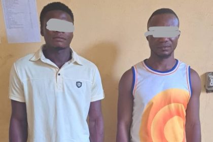 Hotelier, one other arrested for car theft