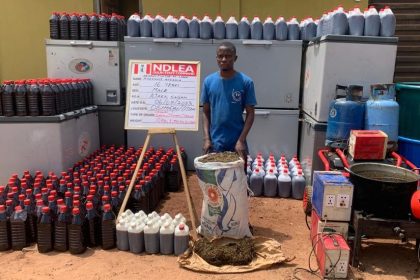 NDLEA: 4,560kg skunk seized in Lagos, Adamawa, Osun