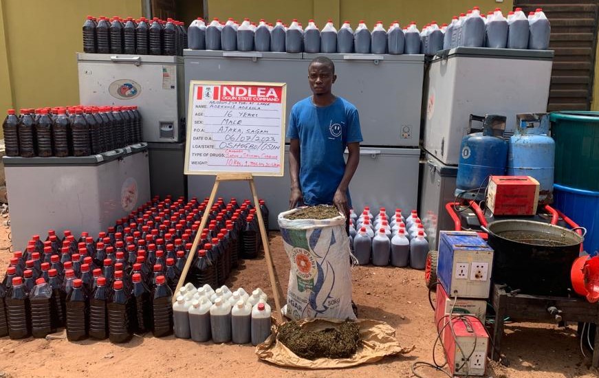 NDLEA: 4,560kg skunk seized in Lagos, Adamawa, Osun