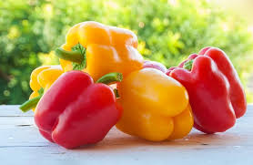 Dietician speaks on value of bell peppers