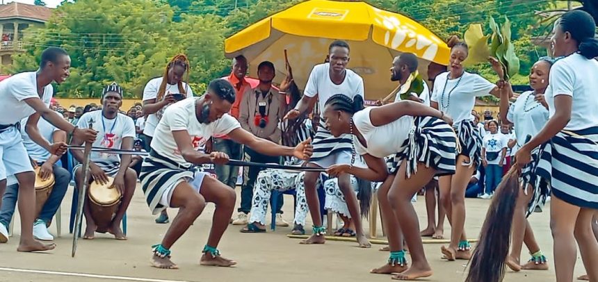 Protect our cultures from going into extinction, NYSC boss urges