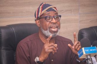 African ministers of minerals re-elect Alake as AMSG chair