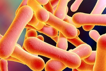 Diphtheria: UNICEF urges airport health checks to curb spread