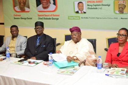 At Freedom Online lecture, Uzodimma, others call for State Police