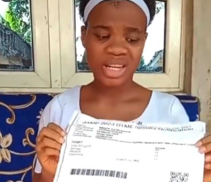 FOR THE RECORD: Panel report on Mmesoma UTME score issue