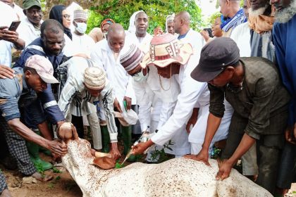 Anthrax: FCTA begins mass vaccination of cattle to curb spread 