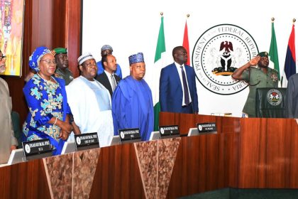 Inaugural FEC meeting: What Tinubu told ministers