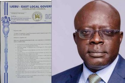 Ijebu East: Council chair, Wale Adedayo, suspended for 3 months