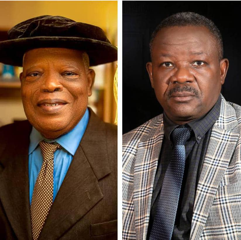Boiling Point: Asiwaju, Olawunmi to dissect wave of coups in Africa