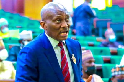 House of Reps: A’Court sacks Elumelu, affirms LP candidate