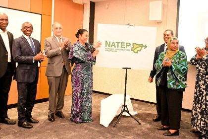 FG unveils national talent export programme for youth employment