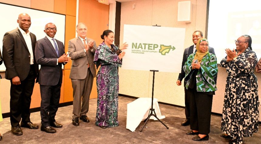 FG unveils national talent export programme for youth employment