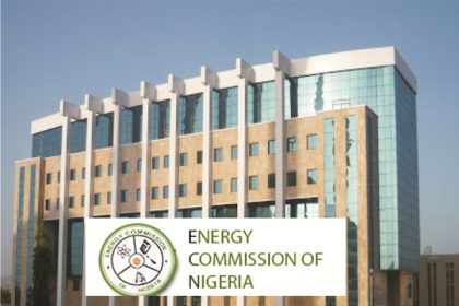 Tinubu appoints new ECN chief executive officer