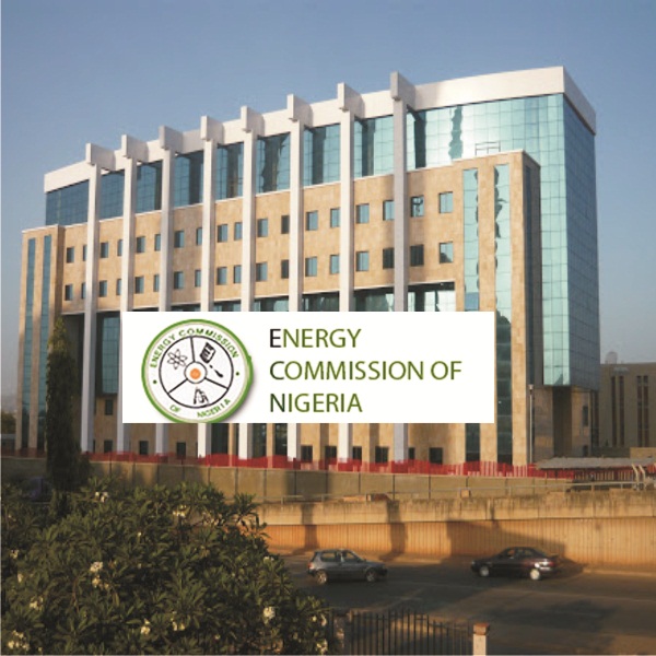 Tinubu appoints new ECN chief executive officer