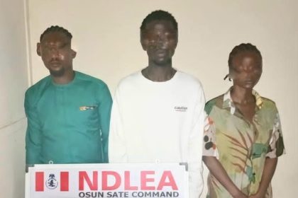 NDLEA raids Osun illicit drug party, arrests organisers