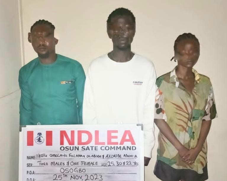 NDLEA raids Osun illicit drug party, arrests organisers