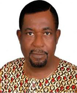 Mambilla, melodrama and manoeuvres, By Oluwafisan Bankale