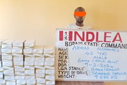 NDLEA arrests insurgents' drug supplier, intercepts tons of drugs