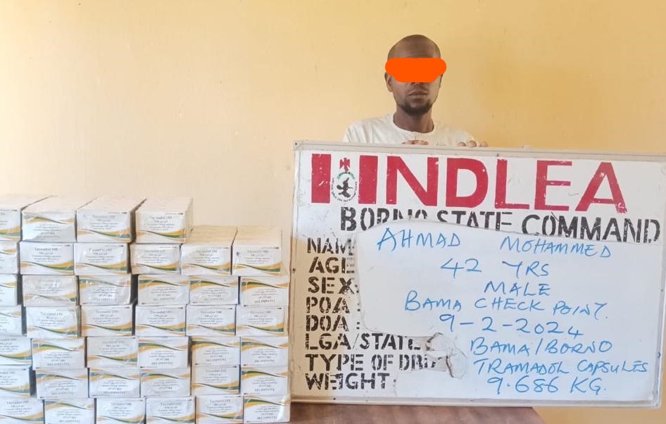 NDLEA arrests insurgents' drug supplier, intercepts tons of drugs