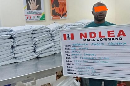 NDLEA intercepts consignment of Loud concealed in loudspeakers