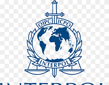 Int’l police law enforcement body appoints Nigerian as director