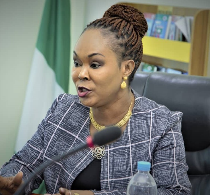 Reps query minister over 'N45m spent on new year party', others