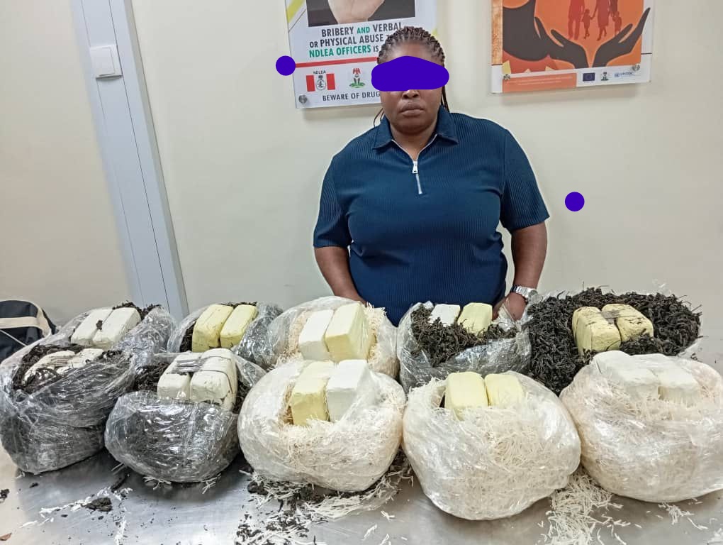 NDLEA intercepts Qatar-bound illicit drugs hidden in African salad