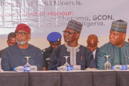 High demand for mining marshal shows support for policy -Alake