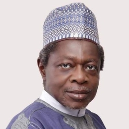 Nigeria and presidential democracy: Any better alternative? (1)
