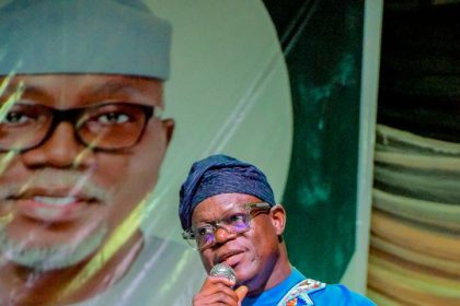 Ajibola Basiru: How to solve problems impeding growth of Nigeria’s democracy