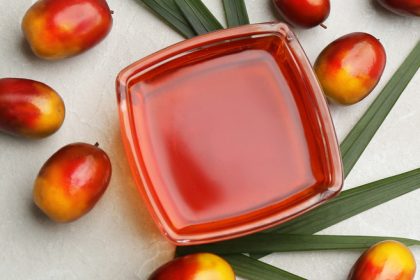 How to benefit from palm oil consumption -Nutritionists