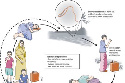 Suspected cholera, not poisonous rice behind deaths in Badagry –Official