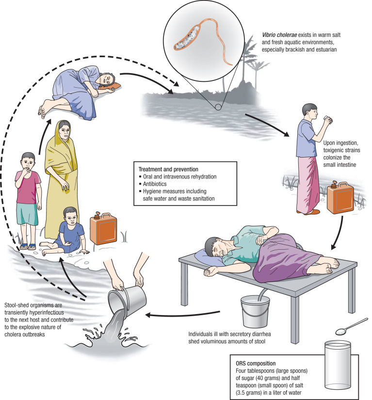 Zamfara records 1,500 cholera cases in three months –MSF