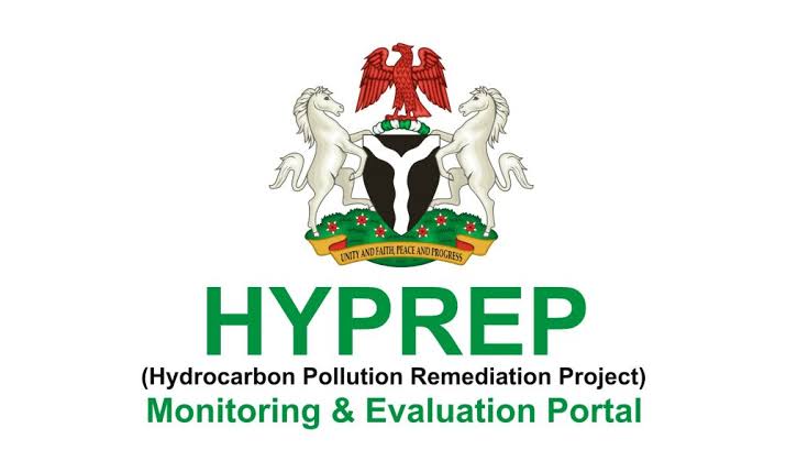 Tinubu appoints new coordinator for HYPREP