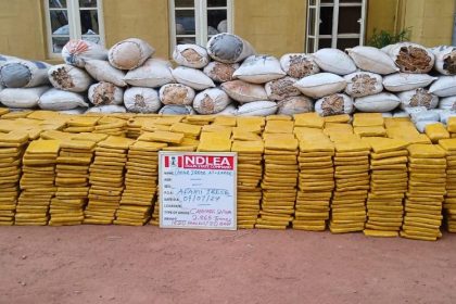 Concealed US, UK, Europe-bound cocaine, opioids seized in Lagos