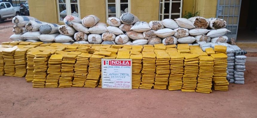 Concealed US, UK, Europe-bound cocaine, opioids seized in Lagos