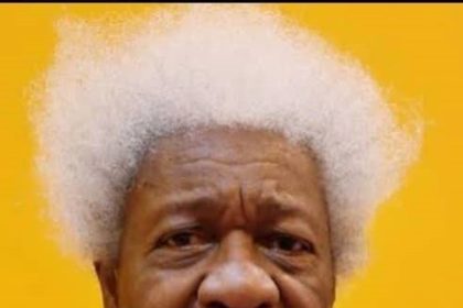 Why Nigeria must promote local languages, culture -Soyinka