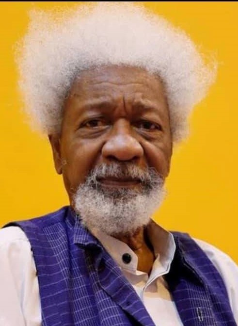 Why Nigeria must promote local languages, culture -Soyinka