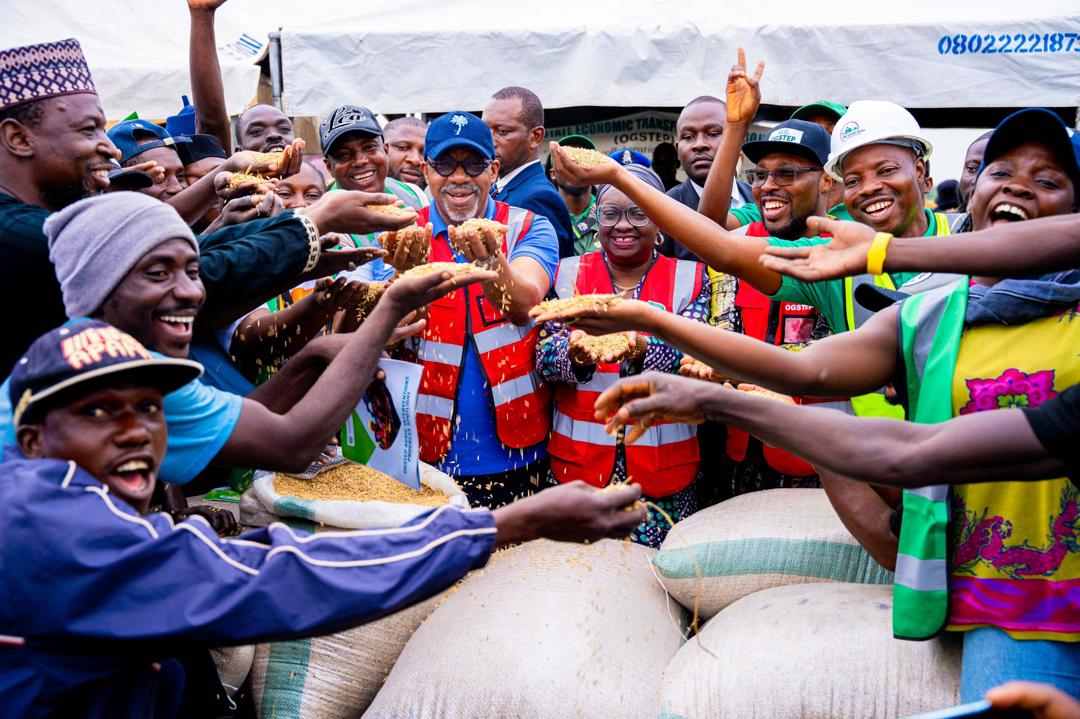 Plantation: Ogun joins league of large-scale rice-producing states