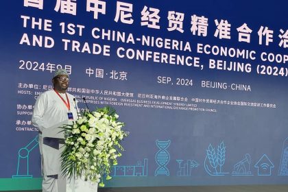Nigeria set to achieve universal energy access by 2060 -Minister