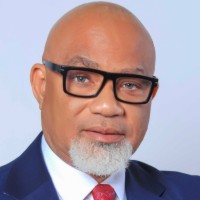 INTERVIEW: What Africa Agenda 2063 is all about –Adeyinka Adeyemi