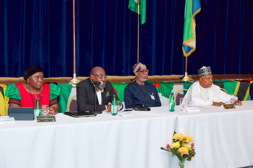 Tinubu: Africa's role as raw minerals supplier solidifying its misery