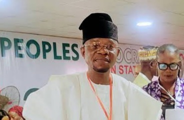 Ogun PDP gets new chairman