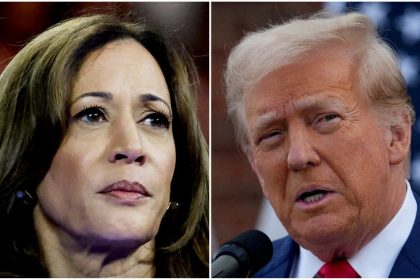 No surprises in early U.S. results as Trump wins West Virginia